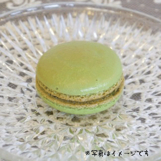 マカロン【ピスタチオ】
マカロン　ピスタチオ プチギフト 結婚式 二次会 ウェディング 披露宴 ありがとう 退職 子ども パーティ ノベルティ 引越し 退職 挨拶 内祝 クリスマス バレンタイン