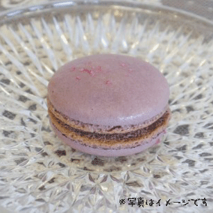 マカロン【ブルーベリーカシス】
マカロン　ブルーベリーカシス　プチギフト 結婚式 二次会 ウェディング 披露宴 ありがとう 退職 子ども パーティ ノベルティ 引越し 退職 挨拶 内祝 クリスマス バレンタイン