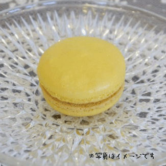 マカロン【レモン】　マカロン　レモン プチギフト 結婚式 二次会 ウェディング 披露宴 ありがとう 退職 子ども パーティ ノベルティ 引越し 退職 挨拶 内祝 クリスマス バレンタイン