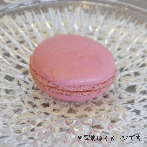 マカロン【ショコラフランボワーズ】
マカロン　ショコラフランボワーズ プチギフト 結婚式 二次会 ウェディング 披露宴 ありがとう 退職 子ども パーティ ノベルティ 引越し 退職 挨拶 内祝 クリスマス バレンタイン